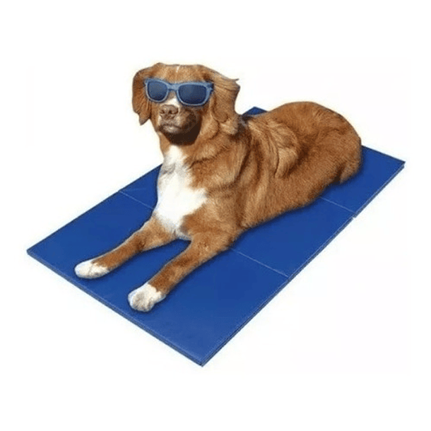 Manta Refrescante Pet Cool Mat Para Mascotas Talla XL 96X81 CM 2