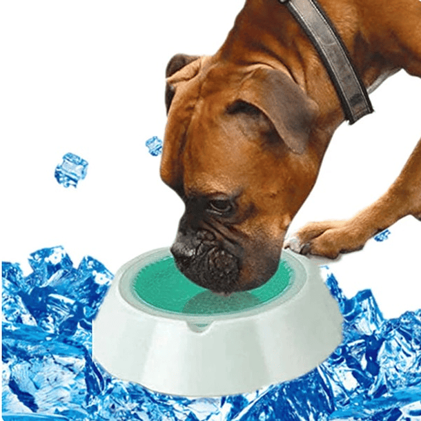 Plato Bowl Mantiene Agua Fresca Para Mascota - Verano Frosty 1