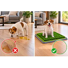 Baño Para Perros Gatos Ecológico Pet Potty Grande 43 x68Cm 5