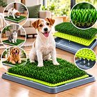 Baño Para Perros Gatos Ecológico Pet Potty Grande 43 x68Cm 6