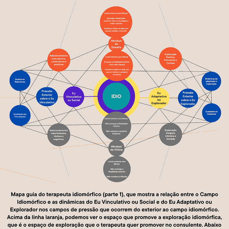 Terapia Transpessoal Idiomórfica - Consulta de Avaliação Grátis 8