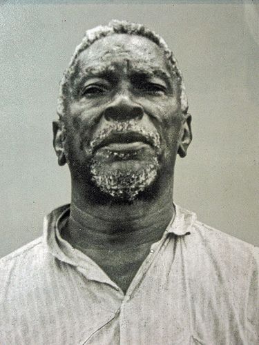 Mestre Irineu, Ayahuasca e a cultura do Santo Daime