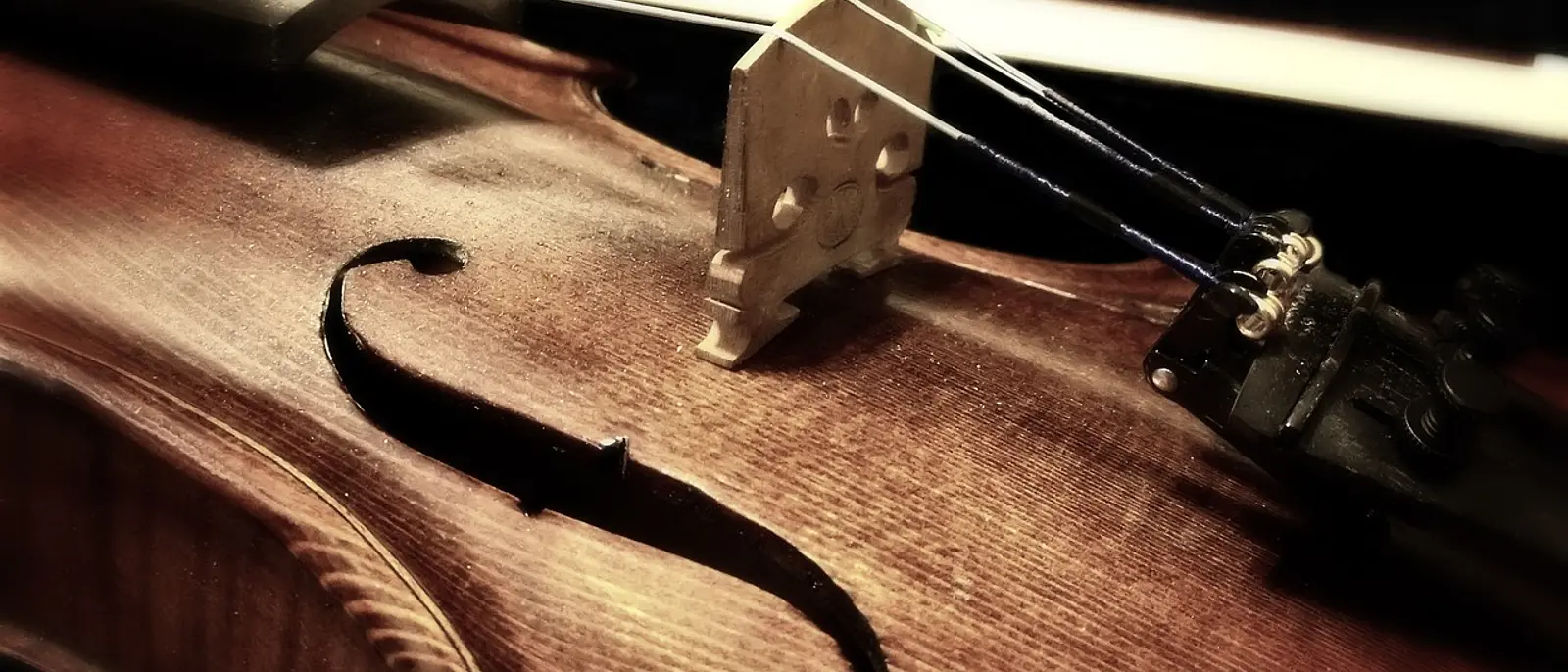 Passo a Passo: Como Trocar as Cordas do Violino