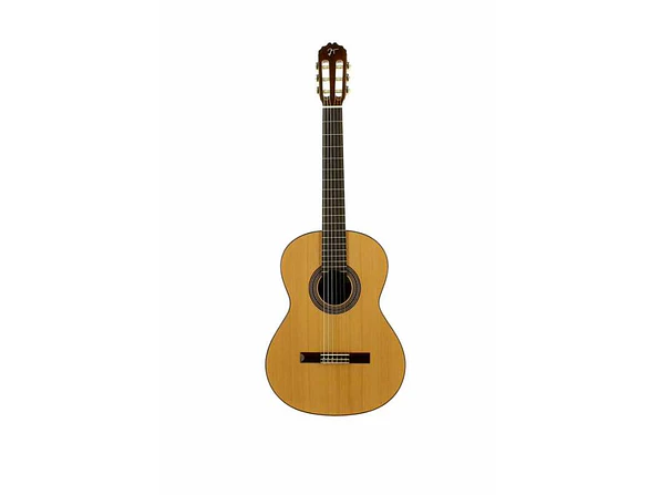 José Torres JTC-10 + Gigbag JTB-10  2