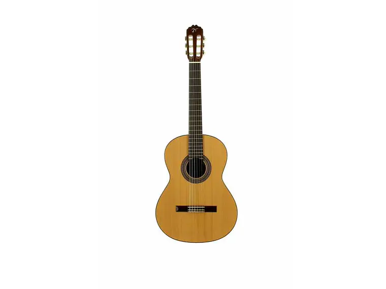 José Torres JTC-10 + Gigbag JTB-10  2
