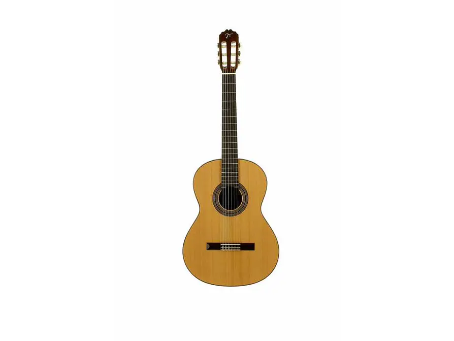 José Torres JTC-10 + Gigbag JTB-10  2