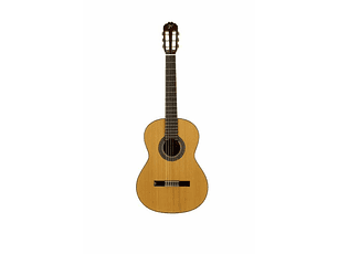 José Torres JTC-20 + Gigbag JTB-10