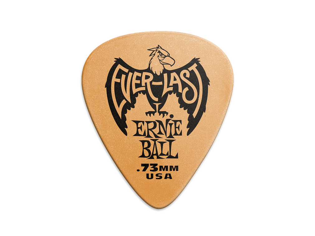 Ernie Ball Everlast 0.73mm - 12 unidades  2