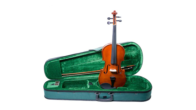 VIOLAS DE ARCO