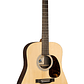 MARTIN DREADNOUGHT D-X2E BILLY STRINGS - ABETO /HPL PALISANDRO - Thumbnail 1
