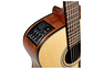 TAKAMINE GLD12 E/A (TEP3) DREADNOUGHT - NATURAL - Thumbnail 6
