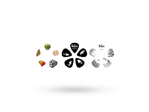 D'Addario Beatles Signature Guitar Pick Tins, Logo, 15 palhetas