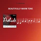 D'Addario Prelude Cello Single G String, 4/4 Scale, Medium Tension - Thumbnail 5