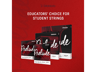 D'Addario Prelude Cello Single D String, 4/4 Scale, Medium Tension