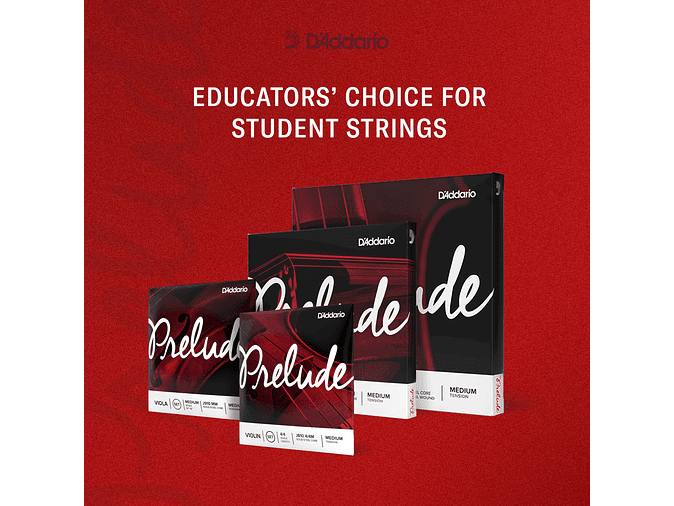 D'Addario Prelude Cello Single D String, 4/4 Scale, Medium Tension 2