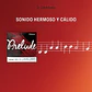 D'Addario Prelude Cello Single D String, 4/4 Scale, Medium Tension - Thumbnail 7
