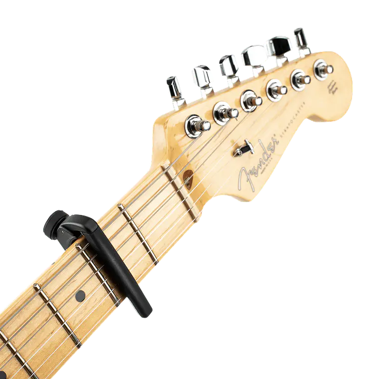 D'Addario Pro Plus Capo - preto 6