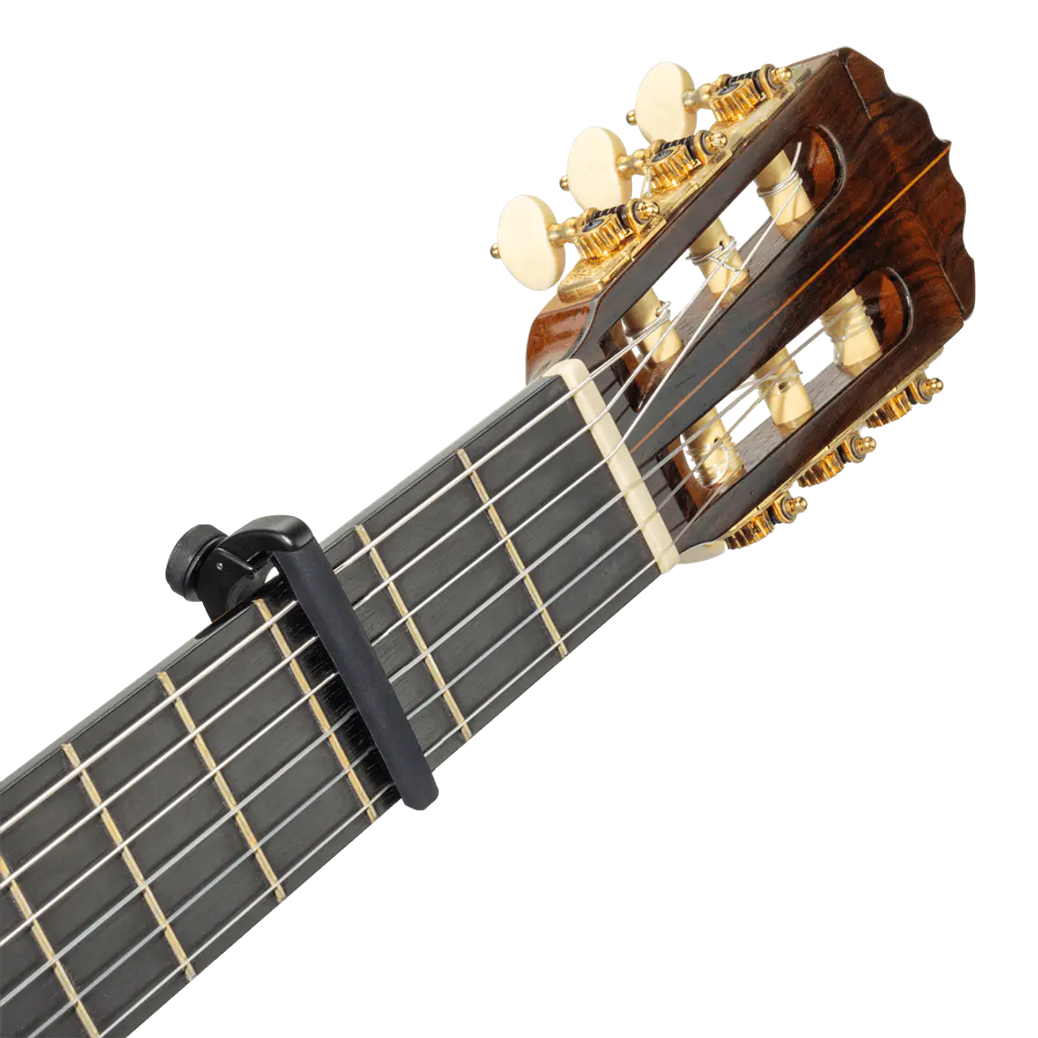 D'Addario Pro Plus Capo - preto 2