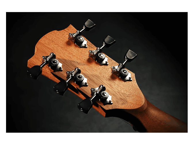 LÂG DREADNOUGHT TRAMONTANE 70 - NATURAL 4