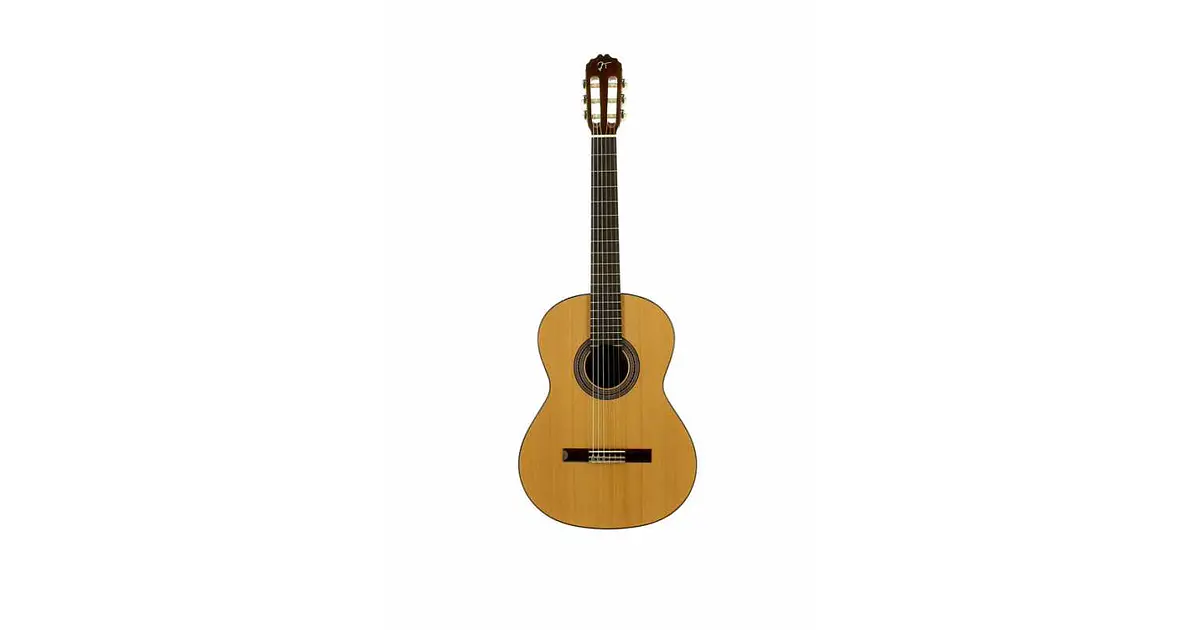 Guitarra classica Jose Torres JTC-10