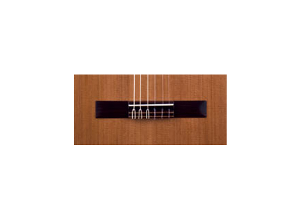 José Torres JTC-10 3