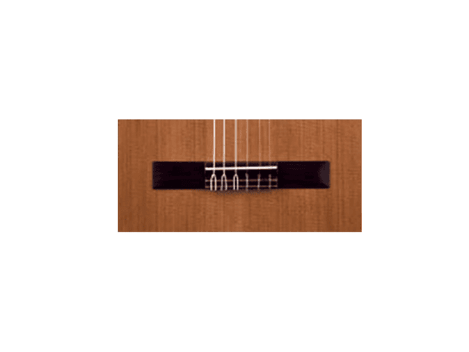 José Torres JTC-10 3