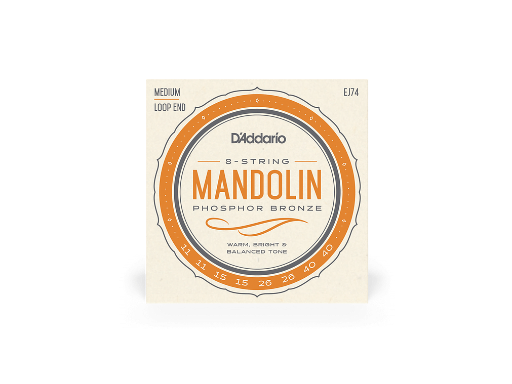D'Addario EJ74 Mandolim 1