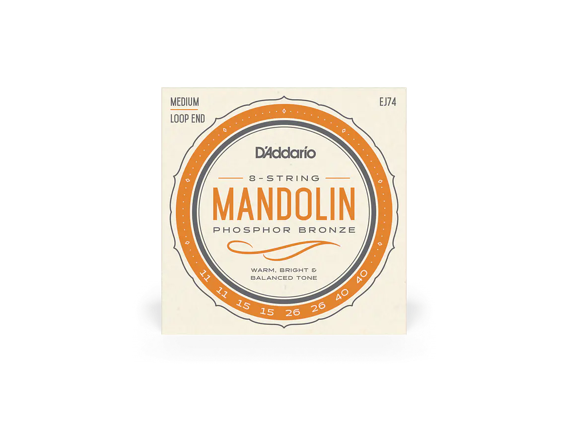 D'Addario EJ74 Mandolim 1
