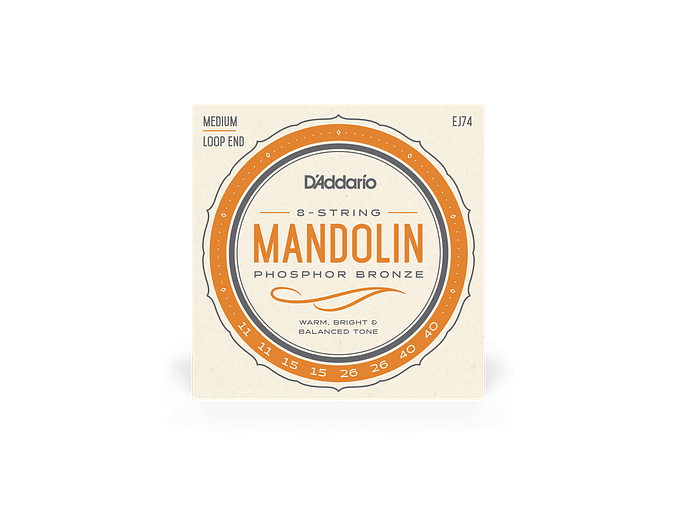D'Addario EJ74 Mandolim 1