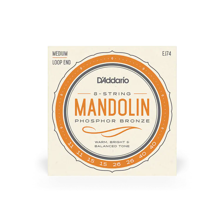 D'Addario EJ74 Mandolim 1