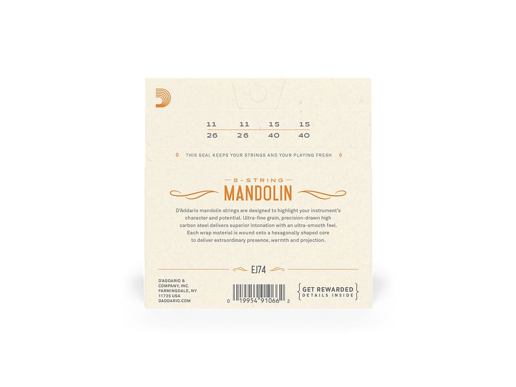 D'Addario EJ74 Mandolim 2