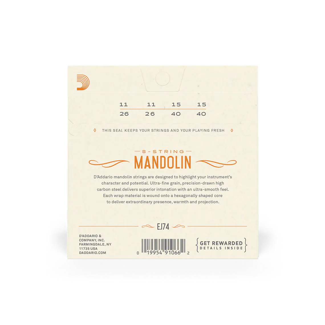 D'Addario EJ74 Mandolim 2