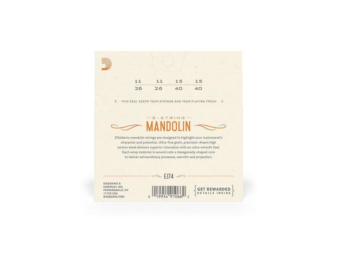 D'Addario EJ74 Mandolim 2