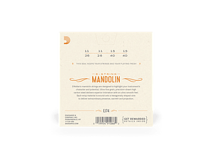 D'Addario EJ74 Mandolim