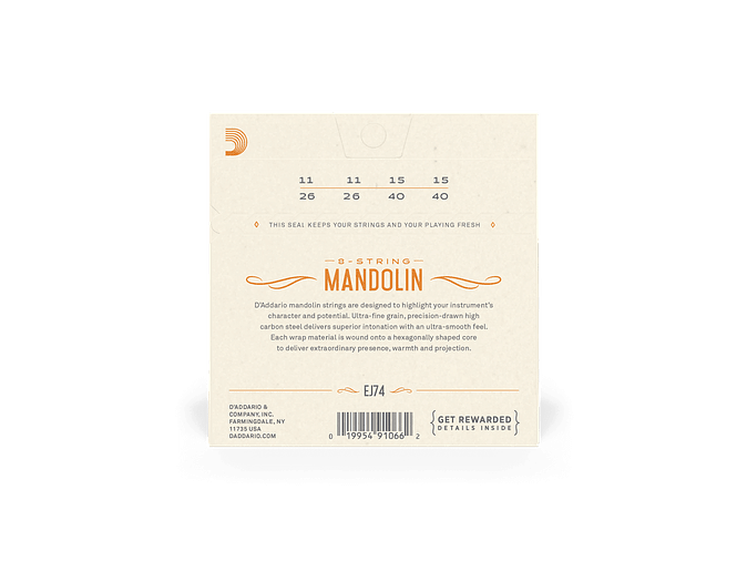 D'Addario EJ74 Mandolim 2