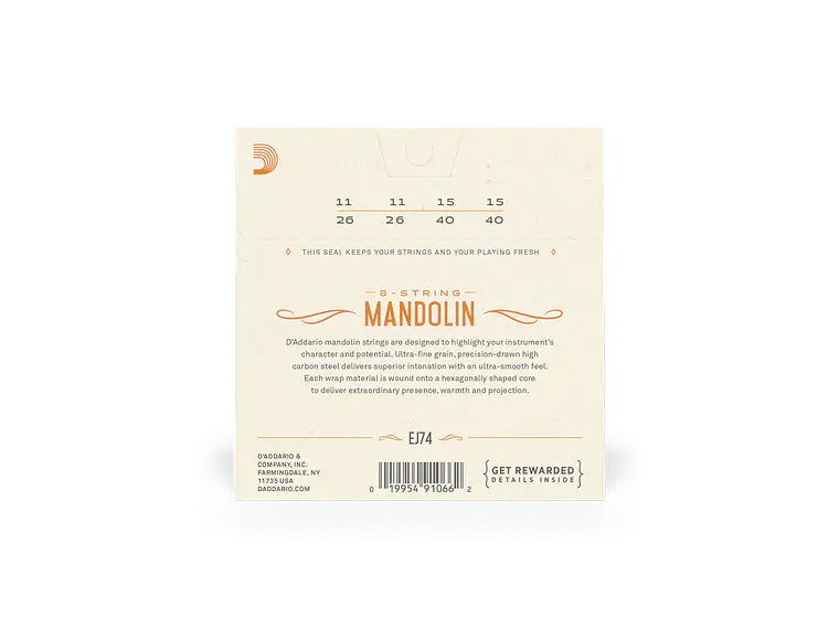 D'Addario EJ74 Mandolim 2