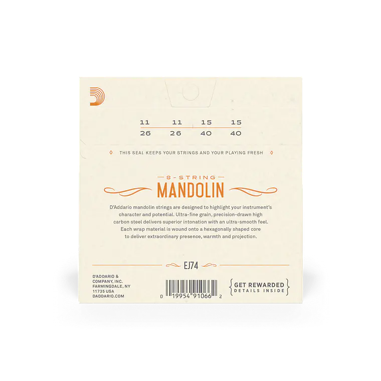 D'Addario EJ74 Mandolim 2