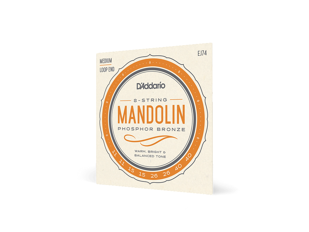 D'Addario EJ74 Mandolim 3