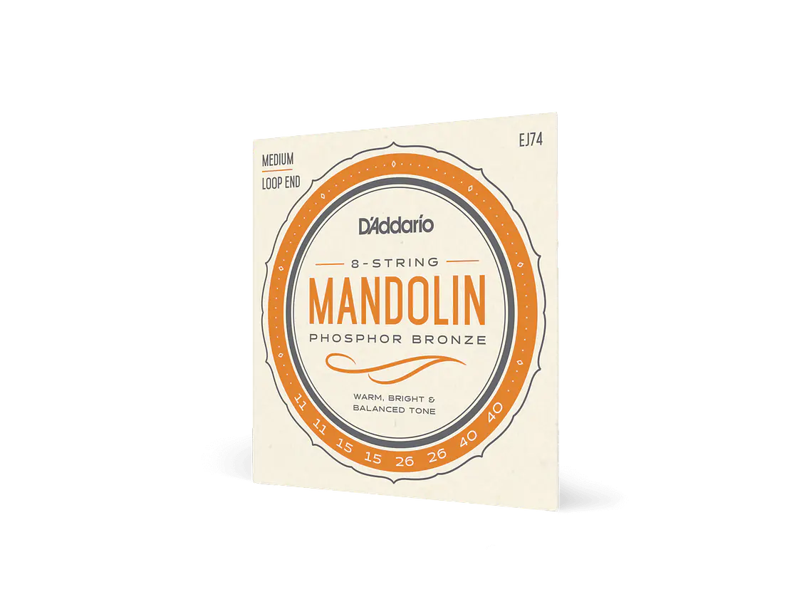 D'Addario EJ74 Mandolim 3