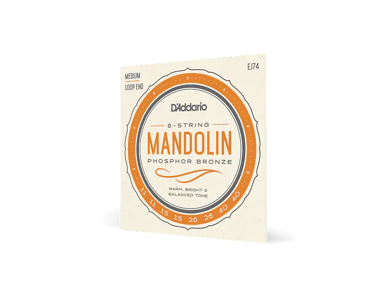 D'Addario EJ74 Mandolim 3