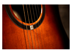 OQAN QGA-100CE SBG eletroacústica