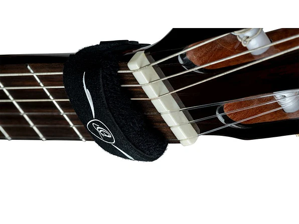 ORTEGA OSMU-M 3