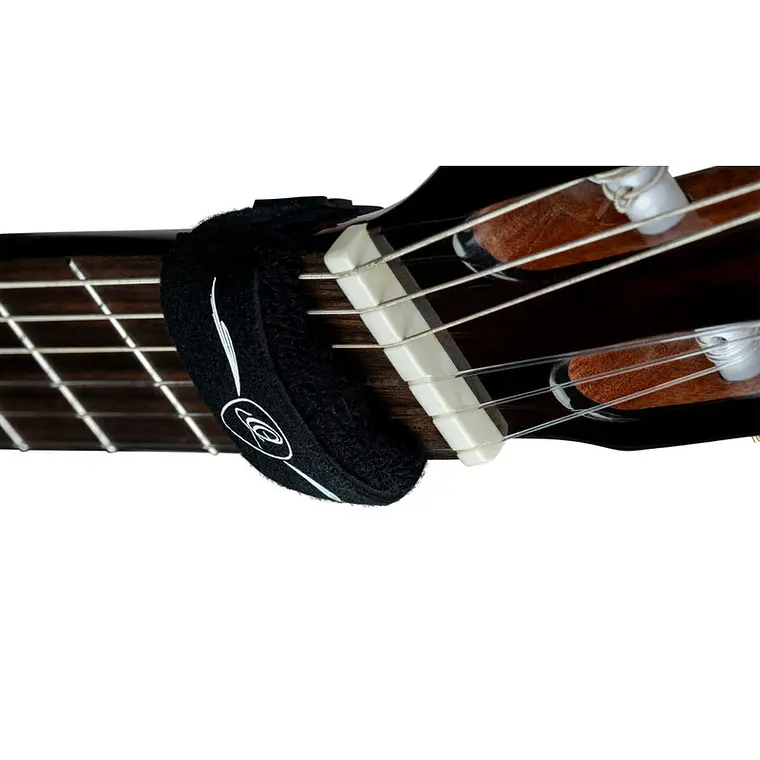 ORTEGA OSMU-M 3
