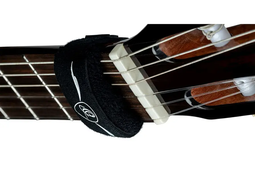 ORTEGA OSMU-M 3