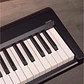 Oqan OK88P  - Thumbnail 3