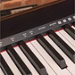 Oqan OK88P  - Thumbnail 5
