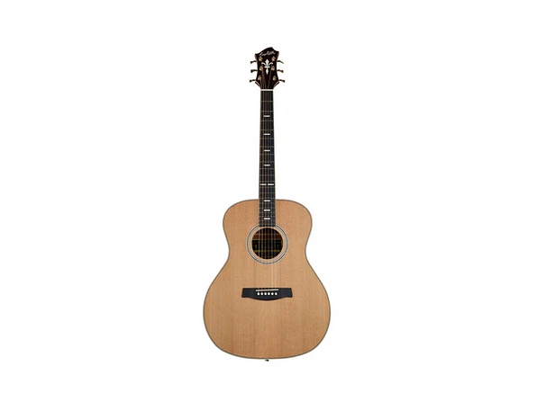 Hagstrom Elfdalia  II Grand Auditorium Natural 1