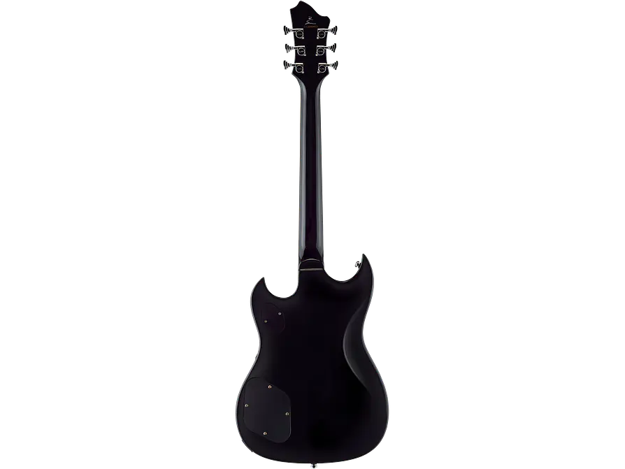 Hagstrom Pat Smear Signature Black 2