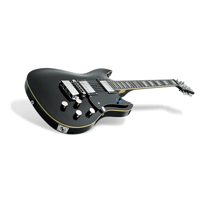 Hagstrom Pat Smear Signature Black 5