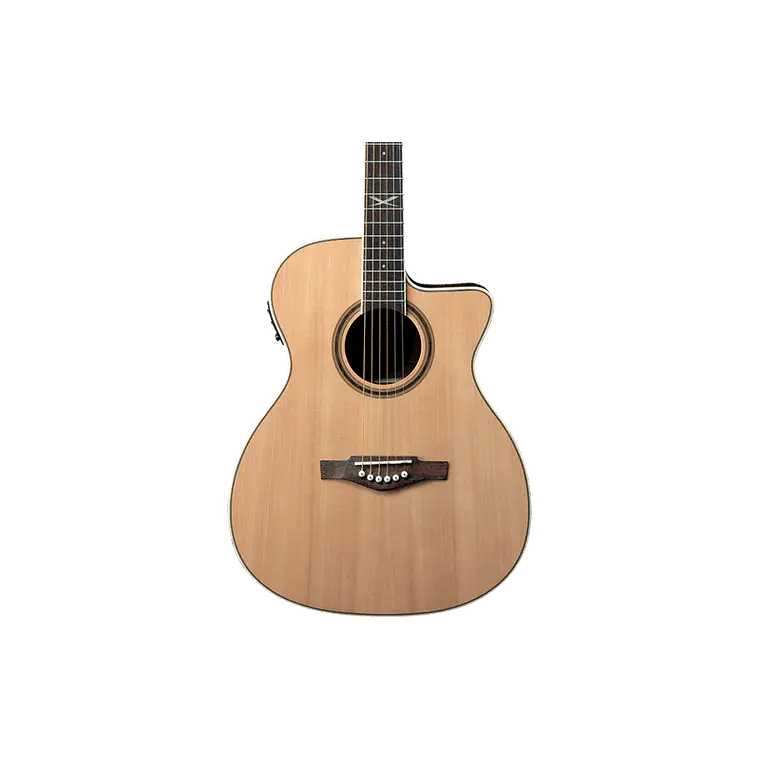 Eko NXT A100 A/E Cutaway Natural 2